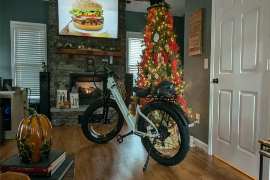 Best Fat Tire Electric Bike
