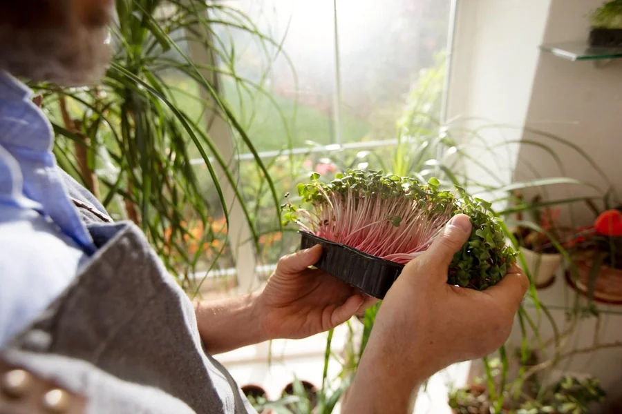 Home Cultivation