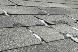 Roofing Contractor