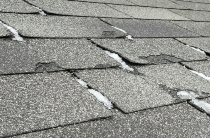 Roofing Contractor