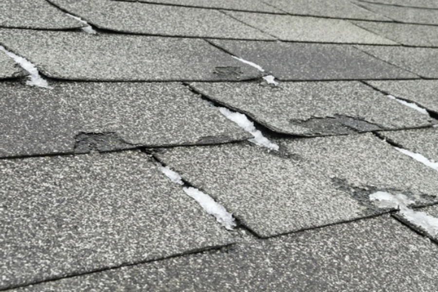 Roofing Contractor