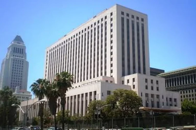 Domestic Violence Defense and Los Angeles