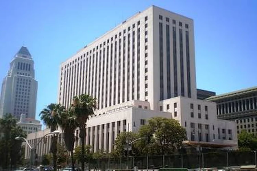 Domestic Violence Defense and Los Angeles