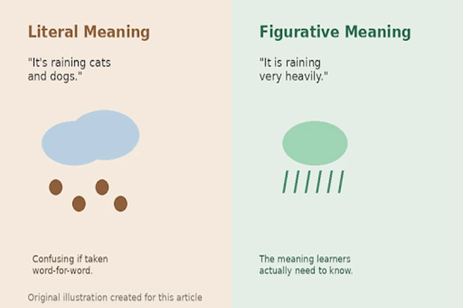 How a Word Search Puzzle Taught Me More Idioms Than Any Textbook Did