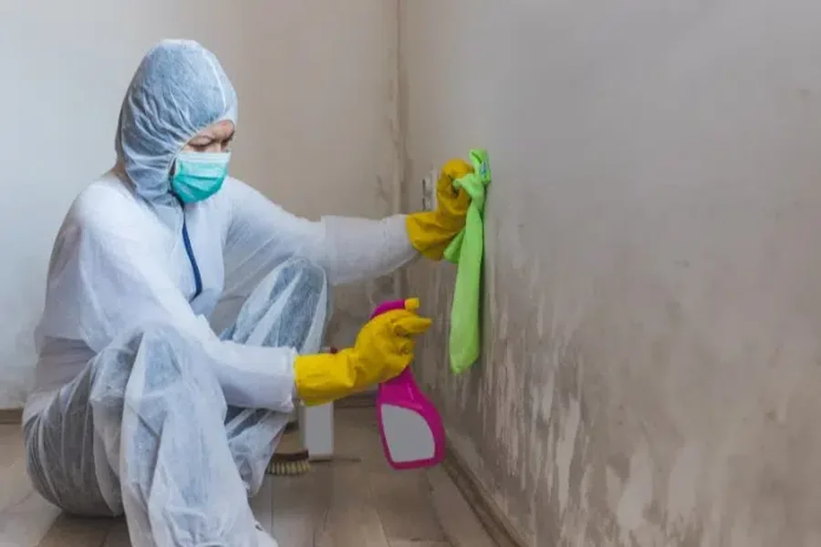 Why Matte Walls Get Shiny Spots When You Clean Them