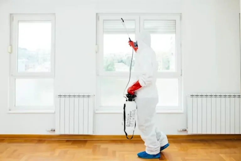 Why Preventive Pest Control Is Better Than Waiting For An Infestation