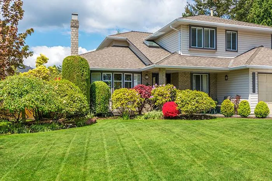 Why a Beach Town Lawn Works Differently: A Homeowner’s Guide to Coastal Turf Care