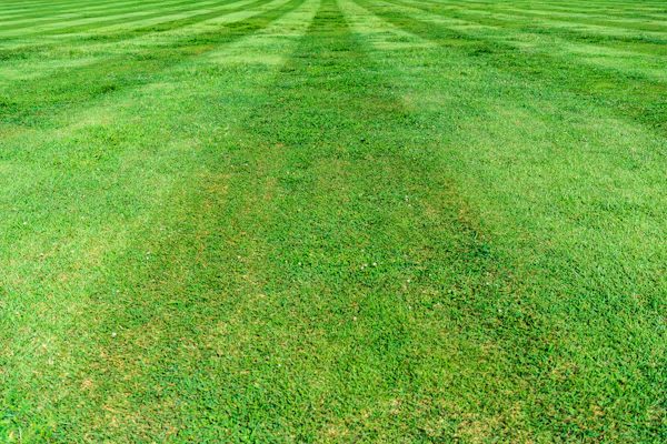 How Can Regular Turf Assessments Help Identify Problems Earlier?